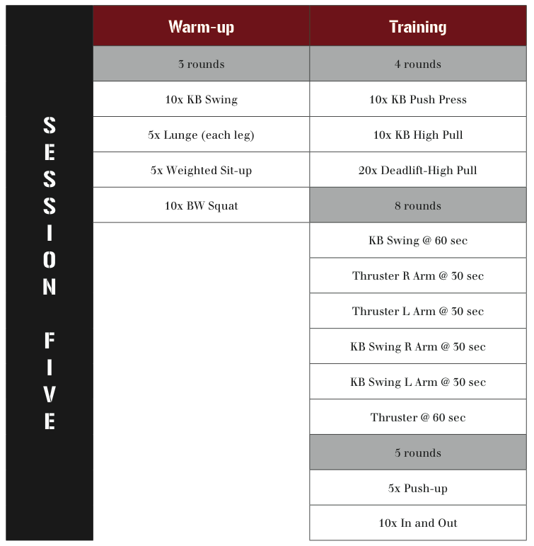 kettlebell fatloss training system