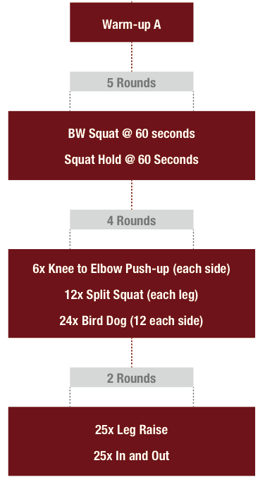 Hybrid Bodyweight training plan